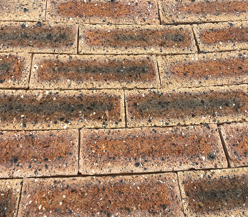 Autumn South African Bricks